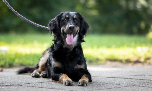 Prijzen funcursussen